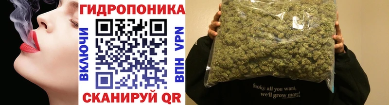 нарко площадка какой сайт  Дудинка  Бошки марихуана индика 